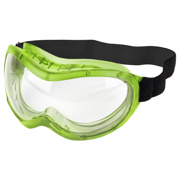 Очки защитные панорама Евро Исток