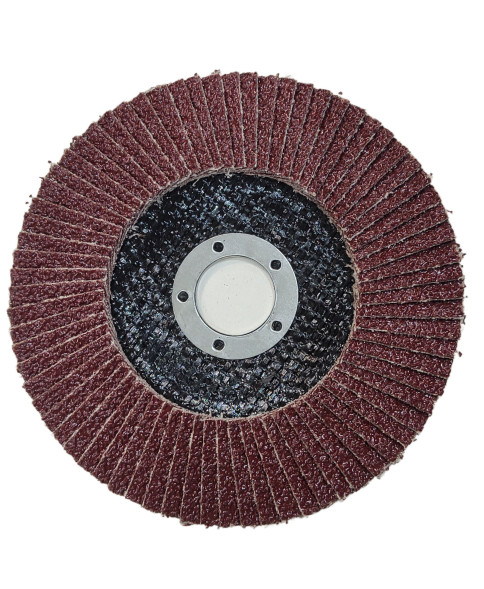 Круг лепестковый торцевой по мет.d125 P  36 SKOLE/КРЕОСТ
