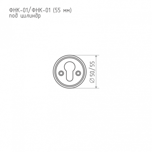 Накладка под ключ ФНК-01 (золото) 55мм "Нора-М"