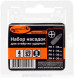 40004 Набор насадок для ударной отвертки (РН1;2;3;4*80мм S2) &quot;Professional&quot; АвтоДело